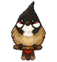 Bulby: Bird with black crest