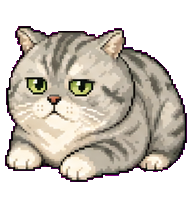 Da Zhuang Grey: Sleepy cream and gray cat