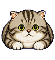 Da Zhuang Tabby: Round brown tabby