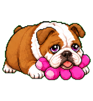 Daisy: Bulldog with a pink petal collar