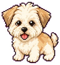 Danny: Fluffy cream puppy