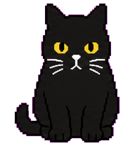 Ditta: Black cat with golden eyes
