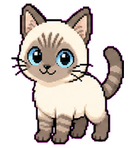 Emma: Cream and brown blue-eyed tabby