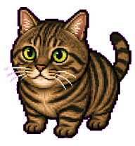 Hana: Detailed brown tabby