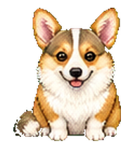 liuliu: Tan corgi with large ears
