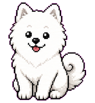 Maja: Fluffy white Samoyed