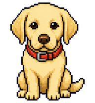 Max: Golden puppy with a red collar