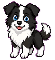 Mia Collie: Blue-eyed border collie