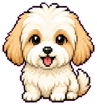 Milo: Small shaggy cream dog