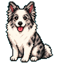 Misty: Gray and white shepherd dog