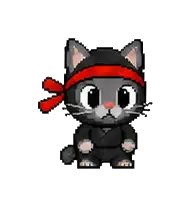 Ninjacat: Ninja cat with a red headband