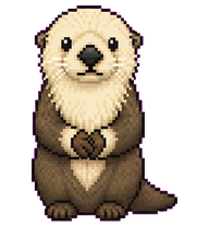 Otto: Sea otter holding a stone
