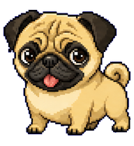 Rio: Tan pug with a curled tail