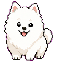 Samo: Front-facing white Samoyed