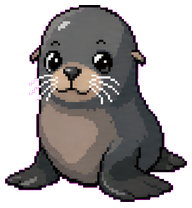 Sea Lion: Young gray sea lion