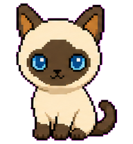 Siam: Blue-eyed Siamese cat