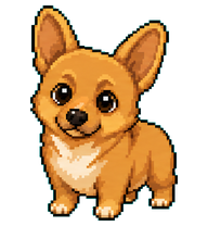 Stout Corgi: Short-legged orange corgi