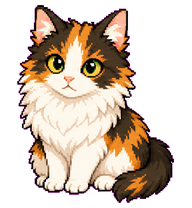 Tilly: Long-haired calico cat