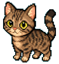 Xiaobao: Brown tabby kitten with pink nose