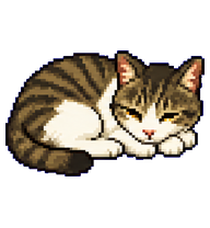 Diandian: Sleeping striped tabby