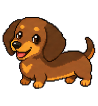 Frankie: Brown dachshund