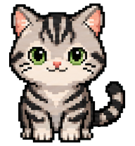 Mimi: Gray tabby kitten